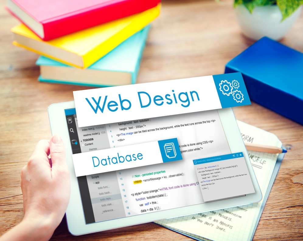 web-design-website-loknow